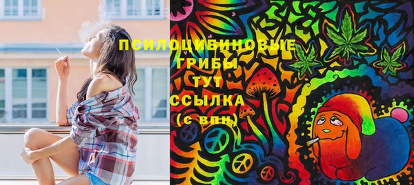 эйфоретик Абаза
