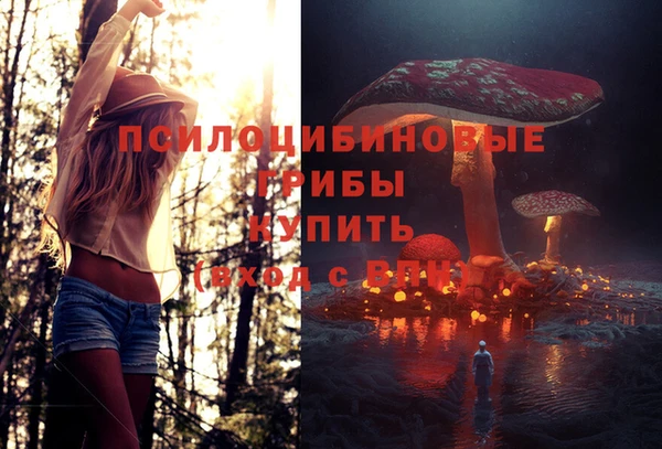 гидра Алексеевка
